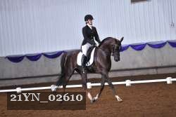 21YN_02610 thumbnail