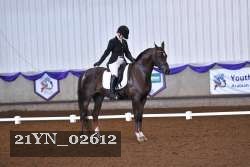 21YN_02612 thumbnail