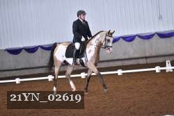 21YN_02619 thumbnail