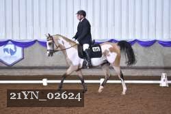 21YN_02624 thumbnail