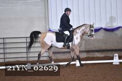 21YN_02629 thumbnail