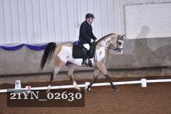 21YN_02630 thumbnail