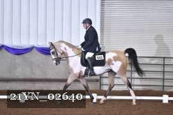 21YN_02640 thumbnail