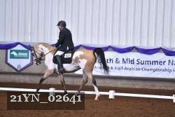 21YN_02641 thumbnail