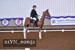 21YN_02651 thumbnail