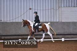 21YN_02676 thumbnail