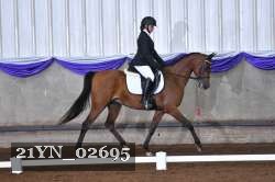21YN_02695 thumbnail