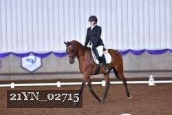 21YN_02715 thumbnail