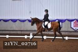 21YN_02716 thumbnail