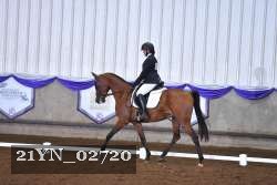 21YN_02720 thumbnail
