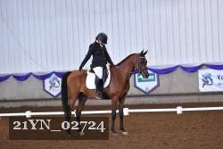 21YN_02724 thumbnail