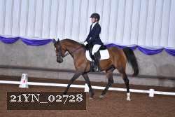 21YN_02728 thumbnail