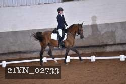 21YN_02733 thumbnail