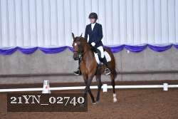 21YN_02740 thumbnail