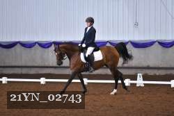 21YN_02743 thumbnail