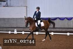 21YN_02744 thumbnail