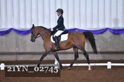 21YN_02745 thumbnail