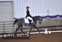 21YN_02772 thumbnail