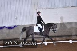 21YN_02773 thumbnail