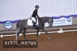 21YN_02792 thumbnail