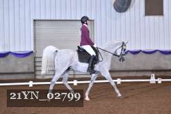 21YN_02799 thumbnail