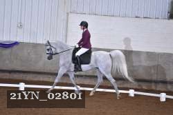 21YN_02801 thumbnail