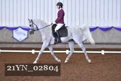 21YN_02804 thumbnail