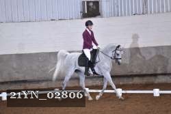 21YN_02806 thumbnail