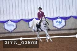 21YN_02808 thumbnail