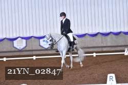 21YN_02847 thumbnail