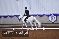 21YN_02856 thumbnail