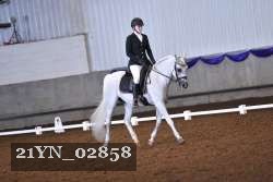 21YN_02858 thumbnail