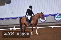 21YN_03990 thumbnail