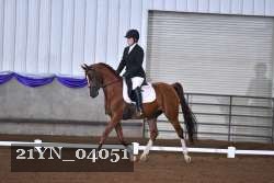 21YN_04051 thumbnail