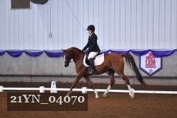 21YN_04070 thumbnail