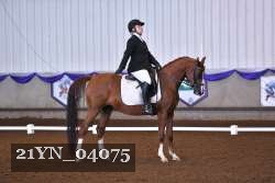21YN_04075 thumbnail