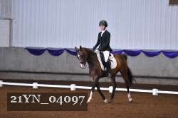 21YN_04097 thumbnail