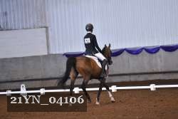 21YN_04106 thumbnail