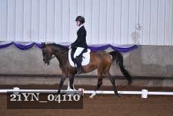 21YN_04110 thumbnail