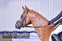 21YN_04127 thumbnail