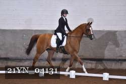 21YN_04131 thumbnail