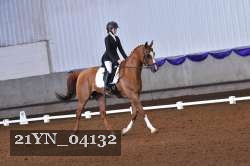 21YN_04132 thumbnail