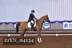 21YN_04134 thumbnail