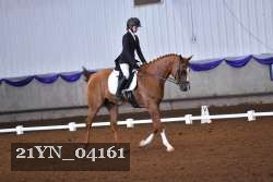 21YN_04161 thumbnail