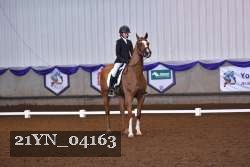 21YN_04163 thumbnail