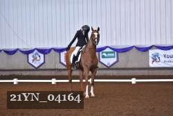 21YN_04164 thumbnail