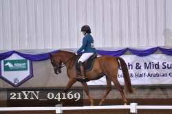 21YN_04169 thumbnail