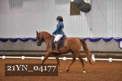 21YN_04177 thumbnail