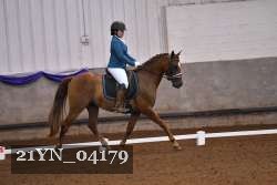 21YN_04179 thumbnail