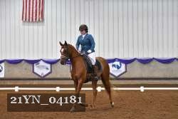 21YN_04181 thumbnail